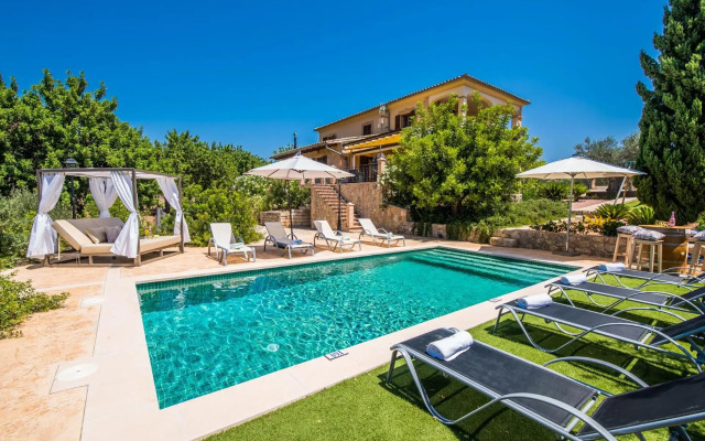 Puig d'en Guardiola ID:74768