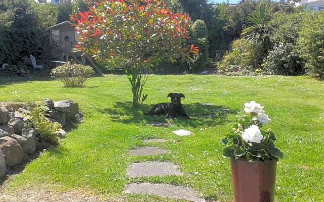 Whitehead Bed and Breakfast