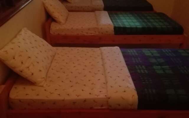 The Paradise In Backpackers