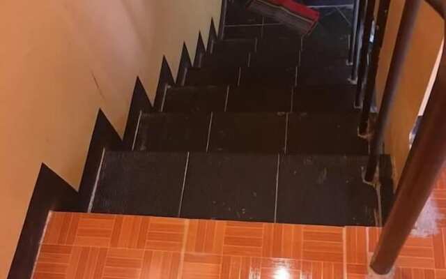 Pines Mansion II House