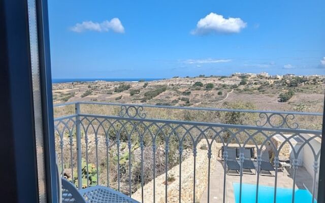 Sea Holly Gozo