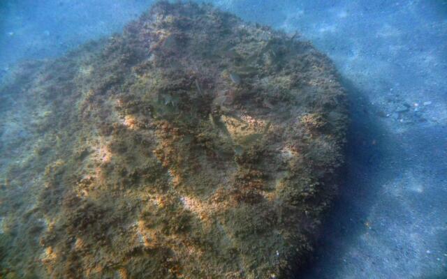 Appartamenti La Quiete