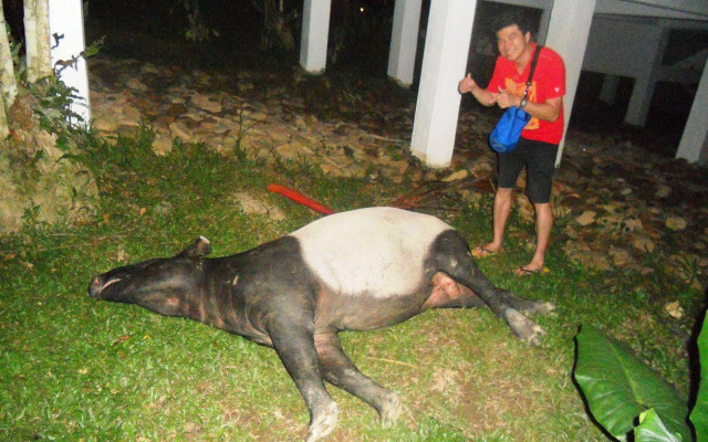 Capital O 90665 Countryview Recreation Park & Resort - Hostel