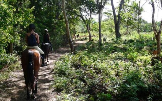 Kande Horse And Guest Farm House