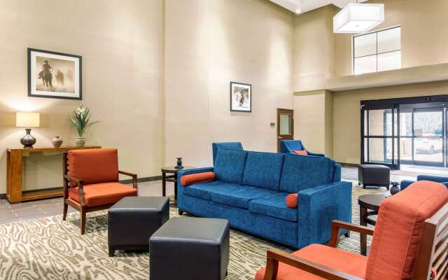 Comfort Inn & Suites IAH Bush Airport – East