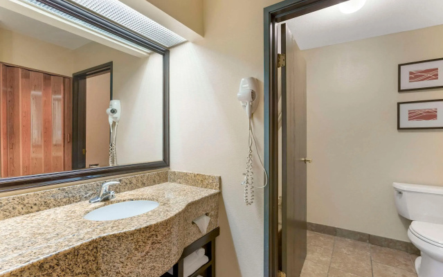 Comfort Inn Phoenix Central City