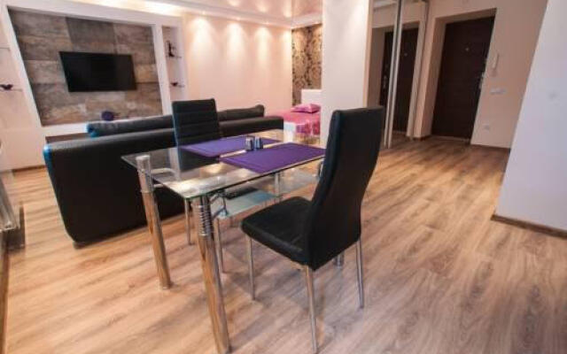 Studio Apartment on Karbysheva