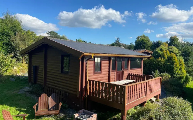 Snowdonia Log Cabin-sleeps 4-garden-pets