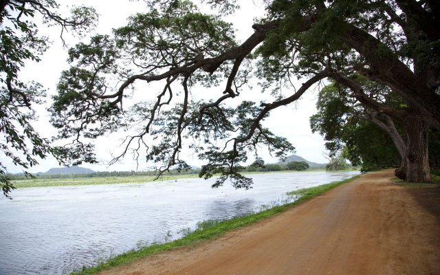 Naturehawks Safari Villa Yala