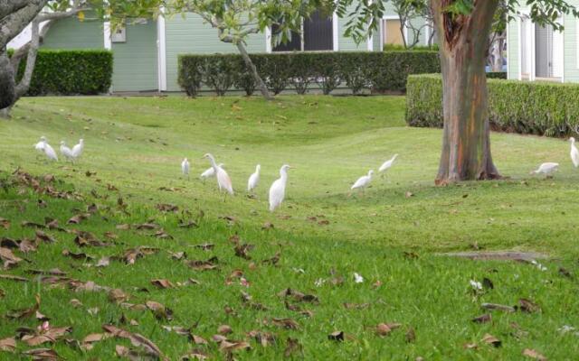 Shirleys Townhouse in Mililani