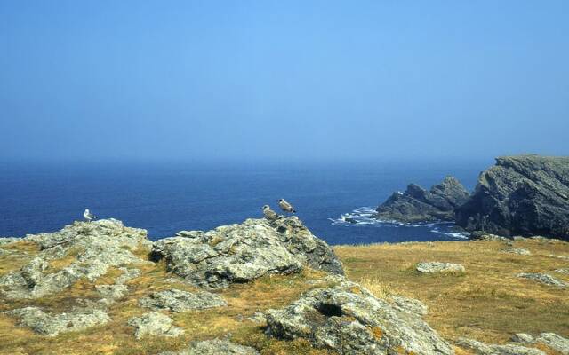 Ty Mad Hôtel-Restaurant