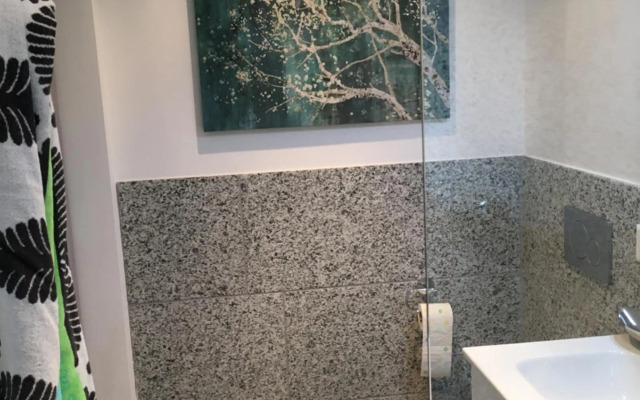 Rustico RESA: Brione sopra Minusio