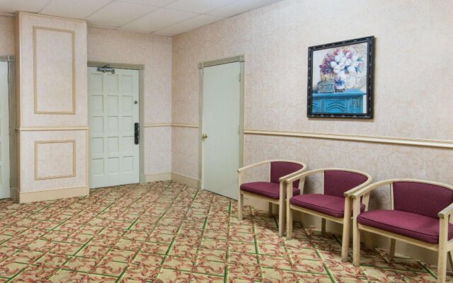 Star Deluxe Branford