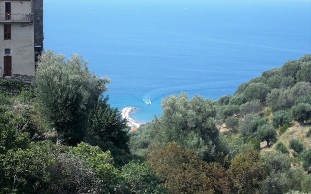 I Fiori Di Donna Ester