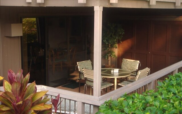 Kanaloa 202 by RedAwning