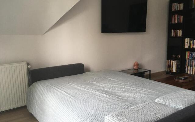 Comfy flat 7 min away from Disney