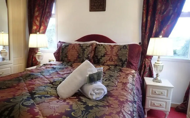 Millpond Chalet Retreat in Machynlleth