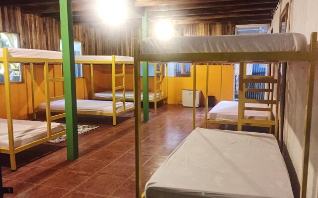 Madre Selva Jungle Hostel