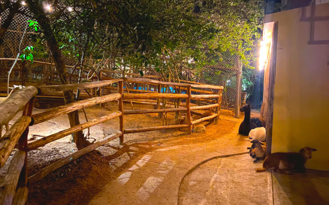 Palm Valley Cabins