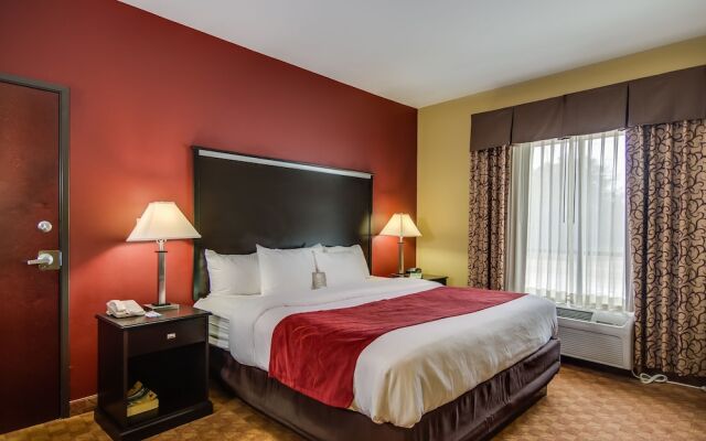 Comfort Suites Spring