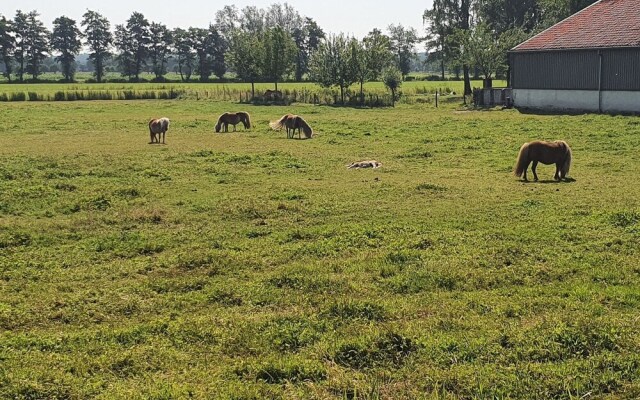 Holiday Home in Overberg With Private Garden and Terrace
