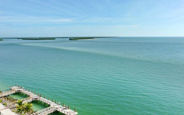 Top Floor Beachfront Condo With Ocean Views/pool/spa