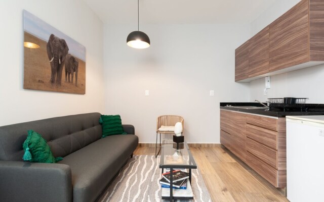 Comfort Apartment With Terrace at Condesa
