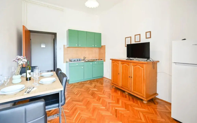 Green and Lush Apartments With Terrace