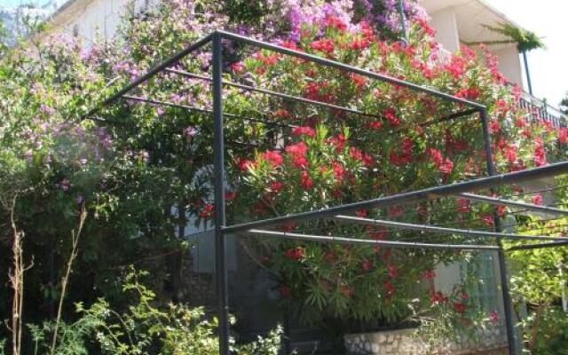 Apartments Stari Pavle