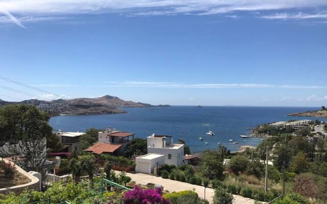 Apartment 2 Bedrooms in Tilkicik