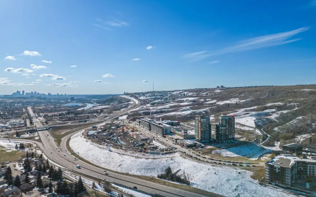 The Owl Petsok 3 Queenbd Firepit 3smarttvs