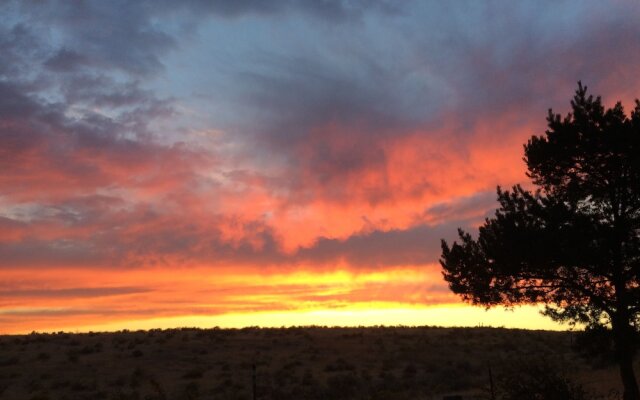 Wild Rose Manor Bed and Breakfast