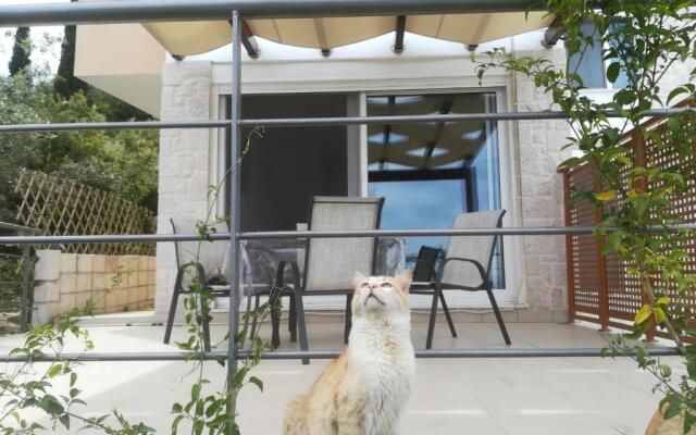 Stone House in olive grove