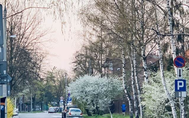 River Boulevard Loft