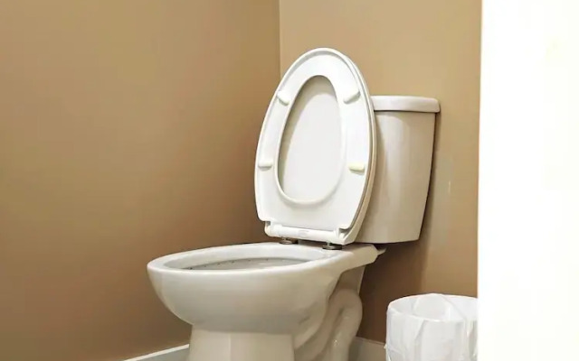 The Cozy Little Home