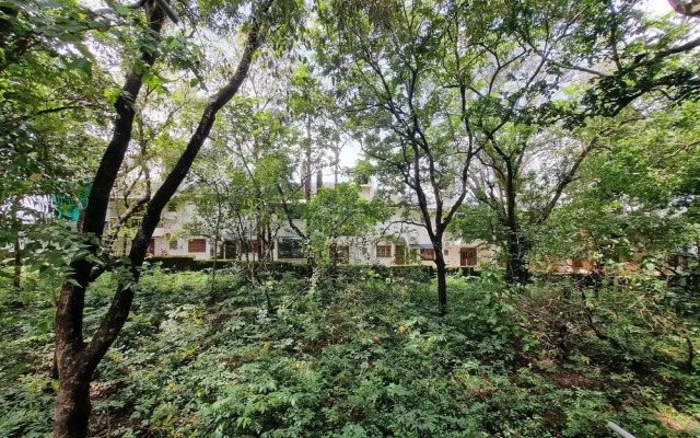 Sereno By Dancenter 1bhk Apartment In Siolim