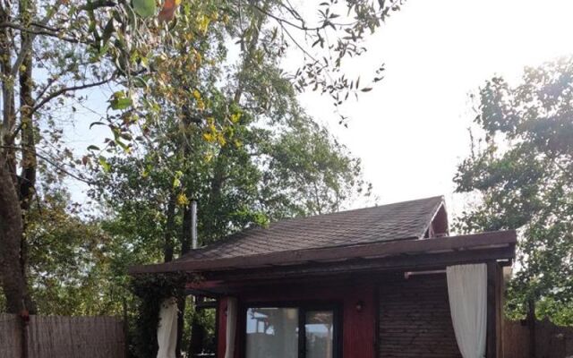 Alcedo Bungalov