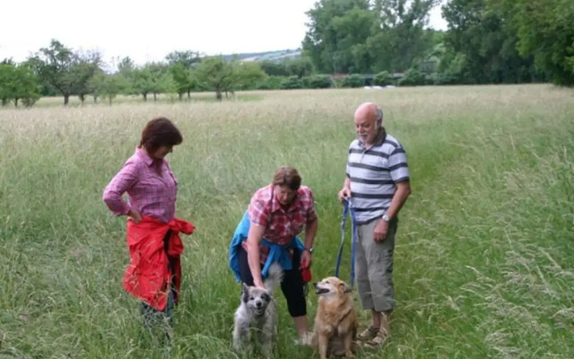 Mott Comfortable Holiday Residence