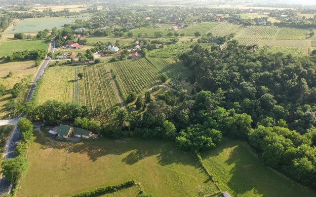 Pilikán Apartments - Park - Vineyard & Sheep farm