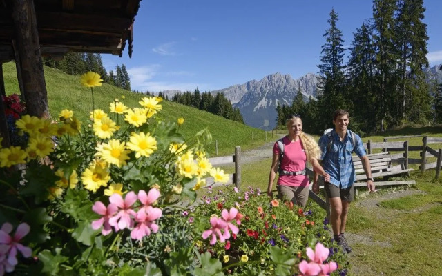 Garni Hotel Alpin Scheffau