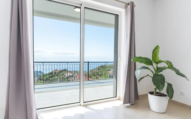 Palm Paradise by Atlantic Holiday