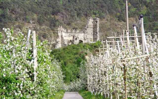 Hotel Montani