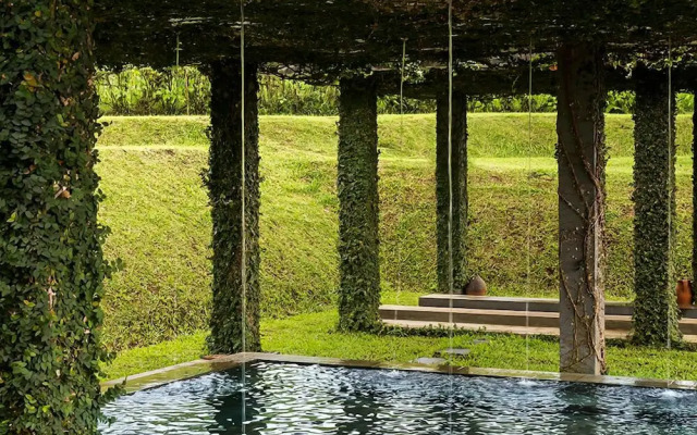 Tea Garden Resort