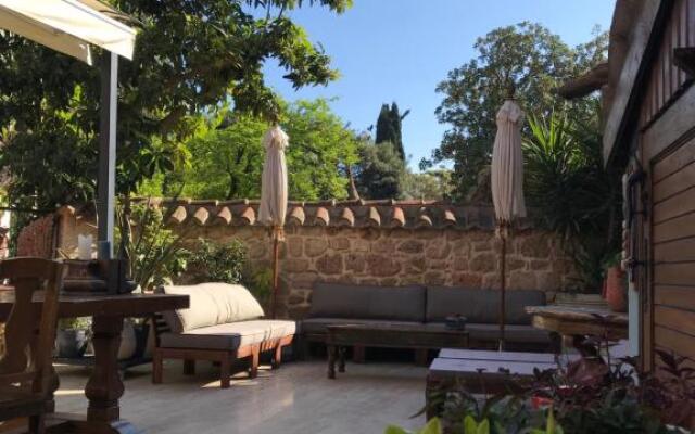 Palm House 17 Oriental Guesthouse