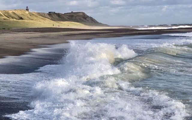 "Lacey" - 200m from the sea in Western Jutland