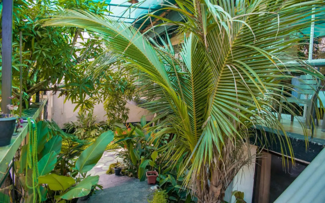 Apartament & Suites Amazonas Explorer's Leticia