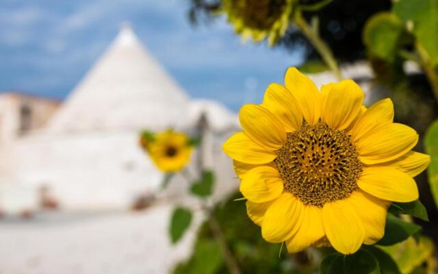 Masseria Mezza Ruota
