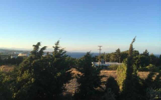 IVY Seaview Apartments