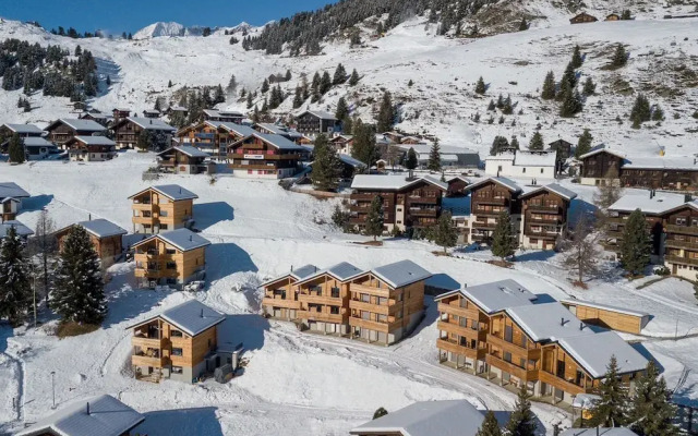 Vieux Valais Beevalais 2