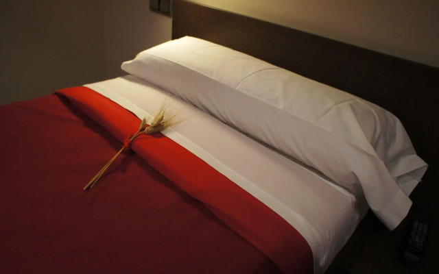 Seminari Allotjaments